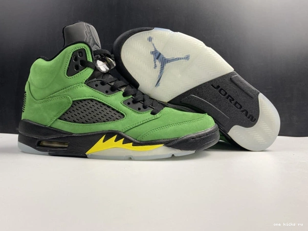 Rep Air Ducks 5 CK6631-307 Jordan SE Oregon 0814